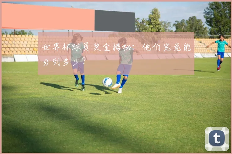 世界杯球员奖金揭秘：他们究竟能分到多少？