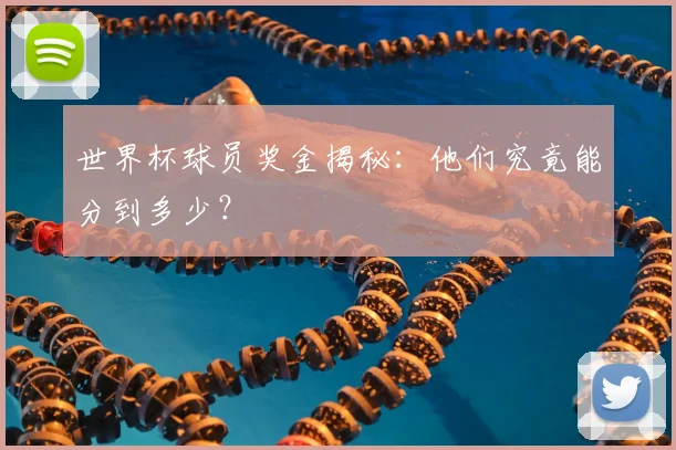 世界杯球员奖金揭秘：他们究竟能分到多少？