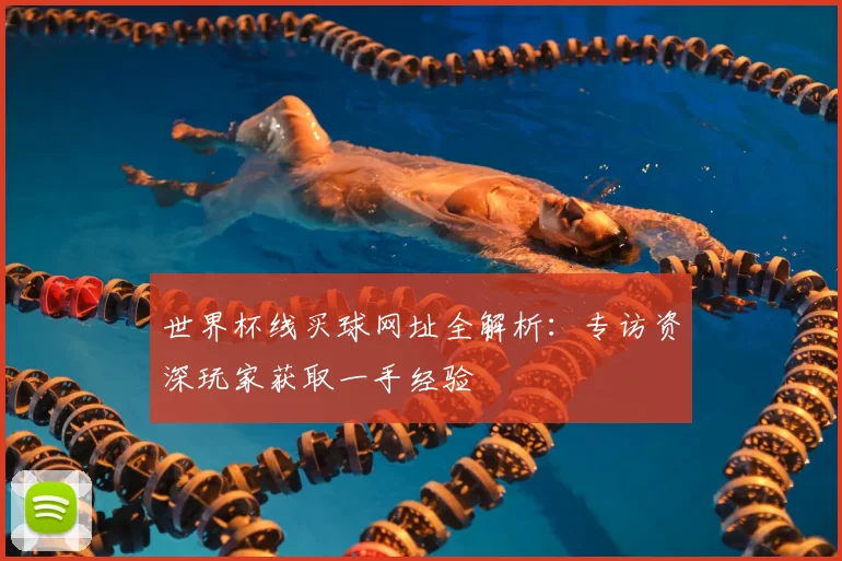 世界杯线买球网址全解析：专访资深玩家获取一手经验