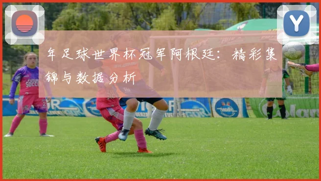 年足球世界杯冠军阿根廷：精彩集锦与数据分析