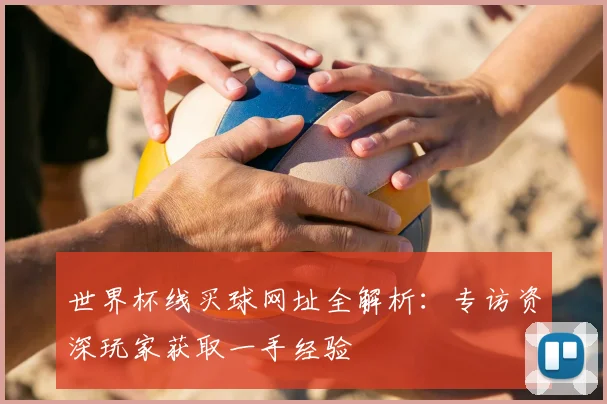 世界杯线买球网址全解析：专访资深玩家获取一手经验